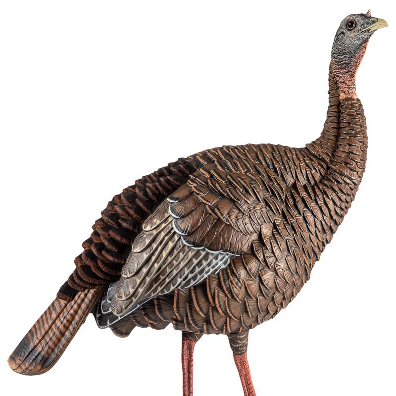 AVIAN X (GSM) HDR Hen Turkey Decoy with Interchangeable Heads, Multi-Color AVXAVX8106